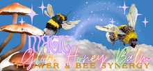Load image into Gallery viewer, Collect Them All! Surprise Mini Honey Lip Balm