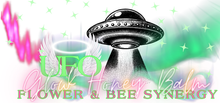 Load image into Gallery viewer, Collect Them All! Surprise Mini Honey Lip Balm