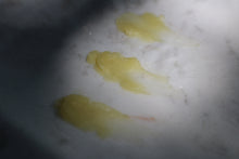 Load image into Gallery viewer, LIMITED-EDITION Lip Nectar (Horchata Honey Balm)